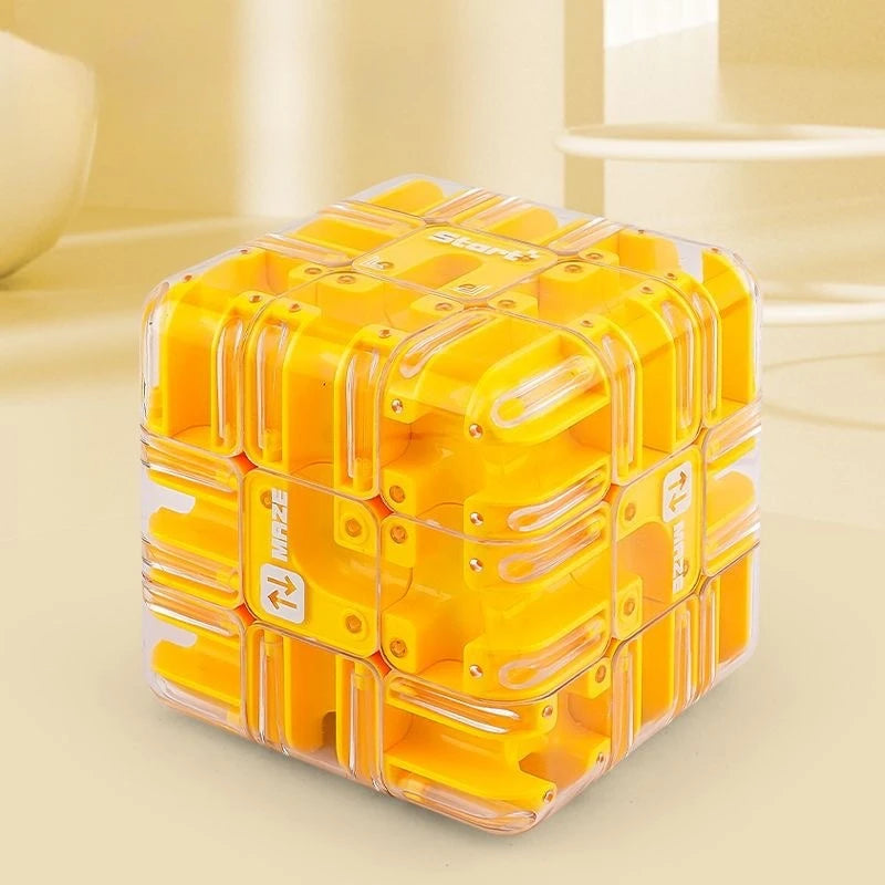 3D Maze Cube Brain Teaser