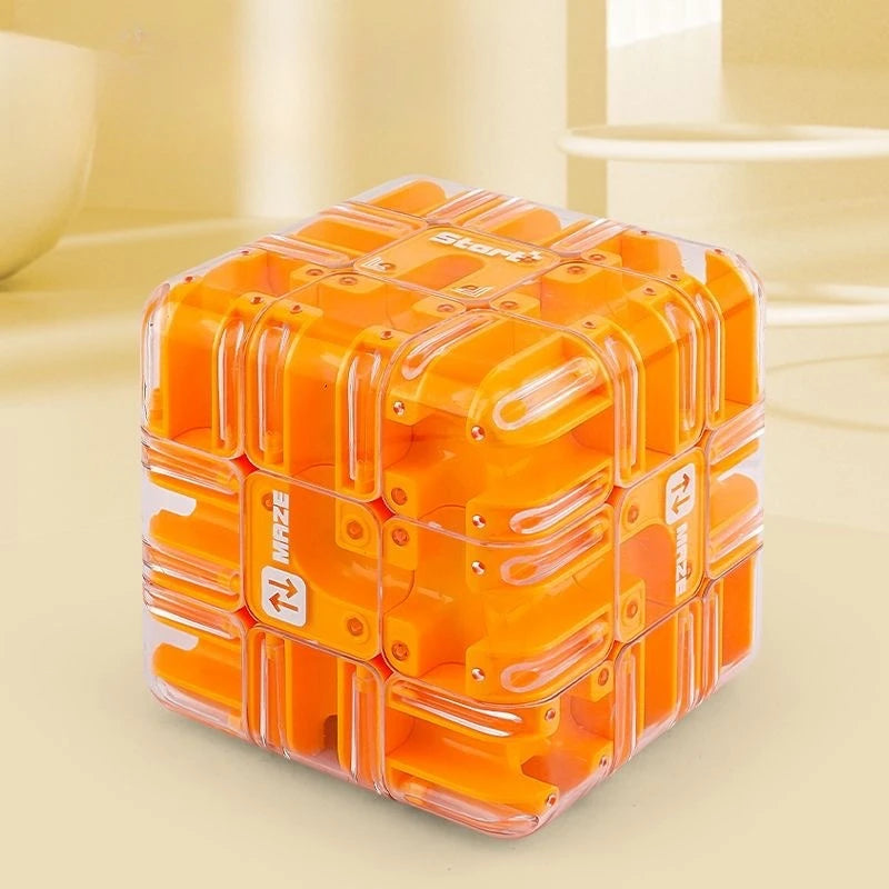 3D Maze Cube Brain Teaser
